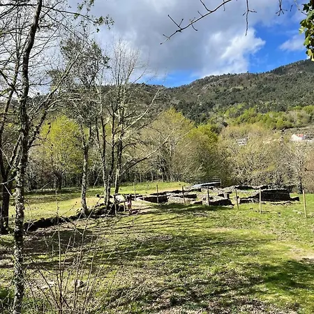 Cozy House Near Lobios, 92 M², Nature